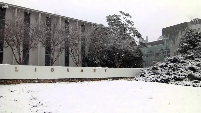 Snow at UNC Asheville, February 10, 2014